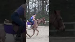 Bad eq