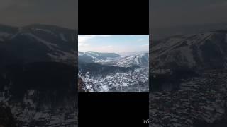 Красный гребень