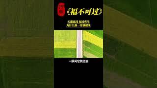 【国学智慧精粹】 天道恶淫，福过灾生，为什么福一过祸就来？ #曾仕强 #国学 #国学智慧 #曾仕强国学智慧 #传统文化 #中国传统文化 #中华文化 #曾仕强教授 #曾仕强教授语录