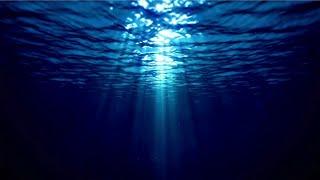Welcome to Deep Science - Your Portal to the Wonders of the Universe!