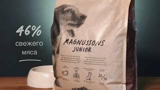 Magnussons Junior