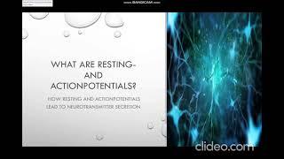 Signal transmission between neurons through Action potentials