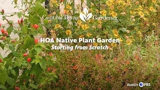 Native Plant Garden from Scratch in HOA: Kathleen Scott  | Central Texas Gardener