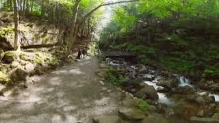 360 video of the Creek and Bridge at Flume Gorge, NH - click n drag to look around