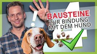 BINDUNG zum Hund aufbauen ▶︎ Die 4 BAUSTEINE einer starken Bindung