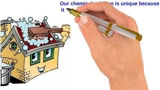 No Pressure Roof Cleaning - The Best Roof Cleaners in Florida