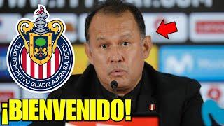 ¡ÚLTIMA HORA! ¡JUAN REYNOSO CONFIRMADO! ¡SORPRENDIÓ A TODOS! ¡NOTICIAS CHIVAS HOY!