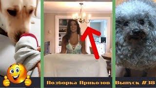 Лучшие приколы 2019 Январь | Тест на психику | ПО ПРИКОЛУ#38 | Свежая подборка