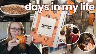 VLOG | Fall Comfort Food, Last Volunteer Shift, & New Hobbies