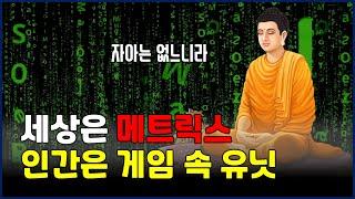 불교의 무아론: 세상은 매트릭스, 인간은 게임 속 유닛