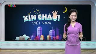 LÀM BÁNH TRUNG THU | VTV4