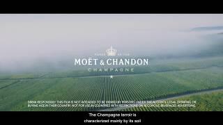 Winemaking & Savoir-Faire - 2'20 - Moët & Chandon