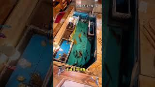 如果你想去这家餐厅用餐，必须自己动手捕鱼，真是太有趣了 #科普 #知识 #冷知识