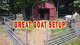 The Prefect Goat Barn Setup For Beginners