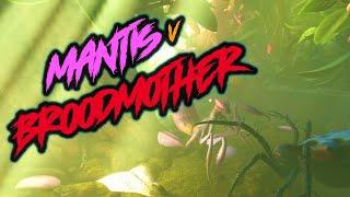 MANTIS vs BROODMOTHER - GROUNDED 1.0