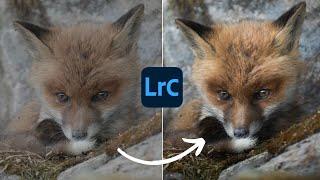 How PROFESSIONALS make it POP | Lightroom Tutorial