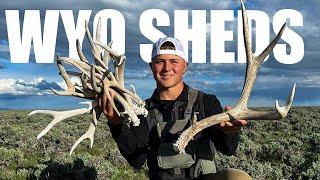 I FOUND A BEAST | 2023 SHED HUNTING