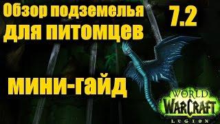 ОБЗОР ПОДЗЕМЕЛЬЯ для ПИТОМЦЕВ (мини-гайд) WoW Легион 7.2