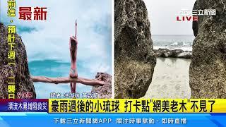 豪雨過後的小琉球　打卡點「網美老木」不見了｜三立新聞網 SETN.com