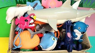 Learn Sea animal Names and Facts with Fun toys|Sea animal toys video for toddlers