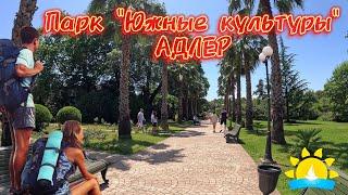 #сочи АДЛЕР/ ПАРК «ЮЖНЫЕ КУЛЬТУРЫ»/ СУПЕР ПРОГУЛКА