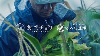 メロンより甘いとうもろこし　武ちゃん農場篇【食べチョク生産者特集】