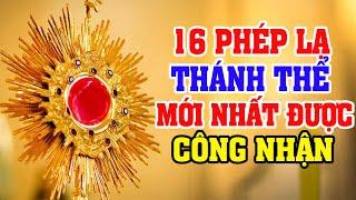 16 PHÉP LẠ THÁNH THỂ MỚI NHẤT ĐƯỢC CÔNG NHẬN | ĐỨC MẸ LAVANG