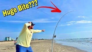 Surf FISHING Galveston for Multiple Species!