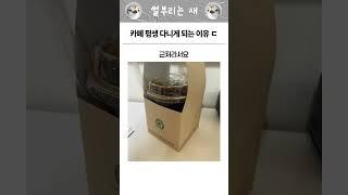 카페 평생 다니게 되는 이유