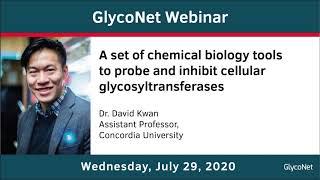 GlycoNet Webinar ft. David Kwan: Chemical biology tools to inhibit cellular glycosyltransferases