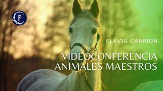 Videoconferencia "Animales Maestros" de Flavia Carrión