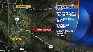 Man killed in Wyoming bear attack