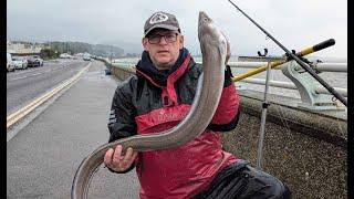 Fishing Blue Anchor Bristol Channel Westward Competition  September 2024