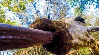 Håndmater giraffer! Reisevlogg Afrika