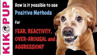 How is it possible to use POSITIVE METHODS for FEAR, REACTIVITY and AGGRESSION in Dog Training?