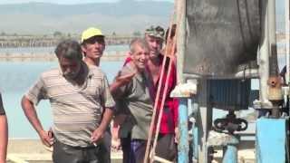 Salt harvesting in Burgas, Bulgaria