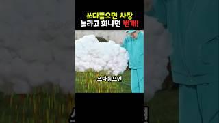사탕을 주는 구름, 번개를 쏜 이유