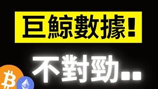 比特幣急跌反彈8000美金! 大鯨魚連三個月越買越少..牛市就快結束了!? 下周五川普Crypto高峰會! #eth