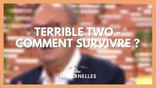 Terrible two : comment survivre ? - La Maison des maternelles #LMDM