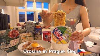 living alone vlogㅣTrip to Prague and Making Korean food. Kimchi Fried Rice. Seaweed soup.