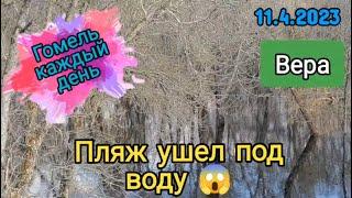 11.4.2023 Пляж ушел под воду.#shortsvideo #гомель #беларусь #shortsvideo #shorts