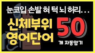 신체부위 영어단어 50개ㅣ 초간단 영어단어 몸 명칭 기초영어 단어 암기장ㅣ눈코입 팔다리 혀 턱 근육 뇌 필수 영단어 듣기ㅣ영어회화기초