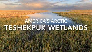 AMERICA'S ARCTIC - TESHEKPUK WETLANDS