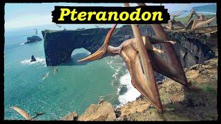 Pteranodon: the Famous Flying Reptile of the Cretaceous!