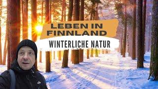 Leben in Finnland | Winterliche Natur | November/Dezember 2022 VLOG