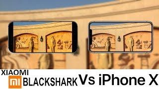 Xiaomi Blackshark Vs iPhone X Camera Test