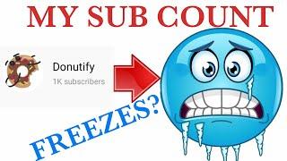 My Youtube Subscriber Count not Updating 