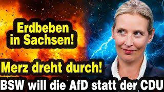 AfD Feiert Großen Sieg in Sachsen – Merz Tobt Wegen BSW!