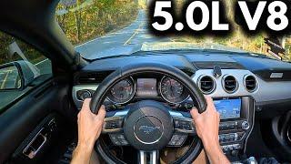 POV: What It's Like to Drive a Mustang GT