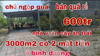 (bể nợ)bán 3000m2 nhà vườn cây ăn tráicó (2) mặt tiền +50 thổ cư tại bình dương .lh 0938971626